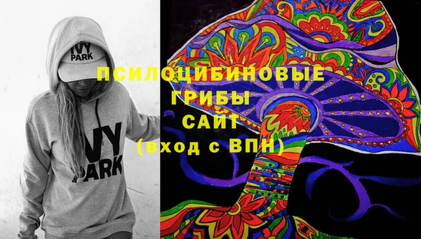 ешки Алексин
